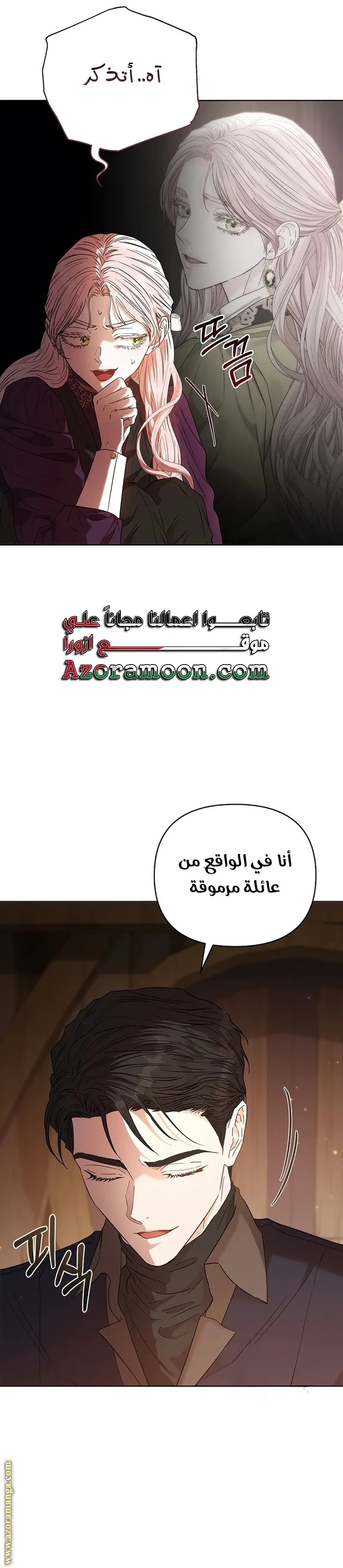 الصفحة 25