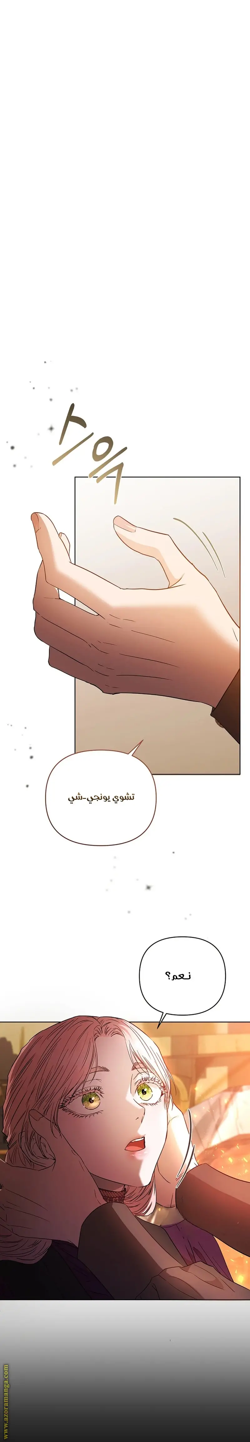 الصفحة 32