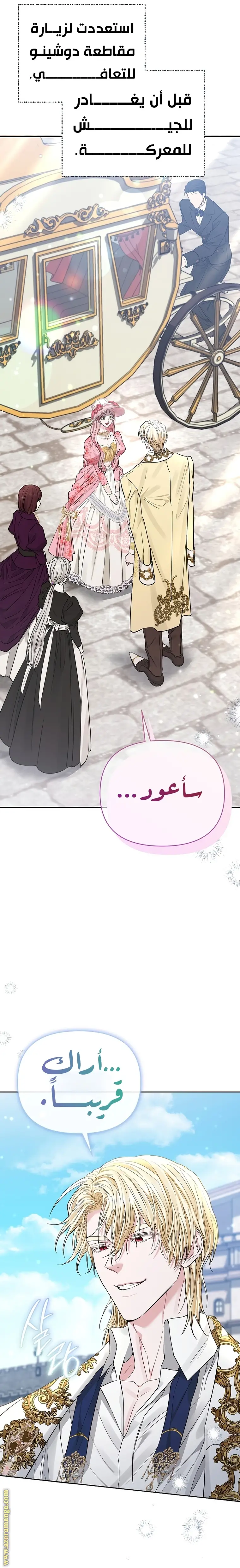 الصفحة 21