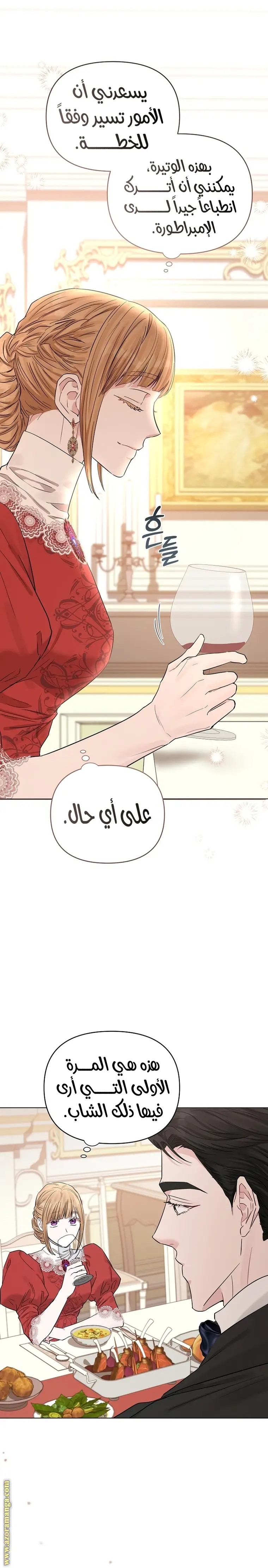 الصفحة 29
