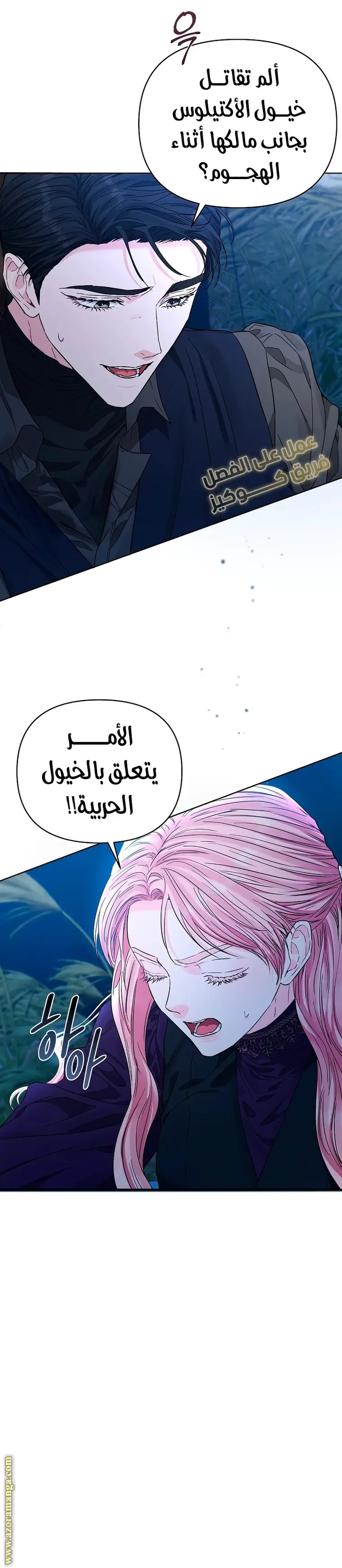 الصفحة 13