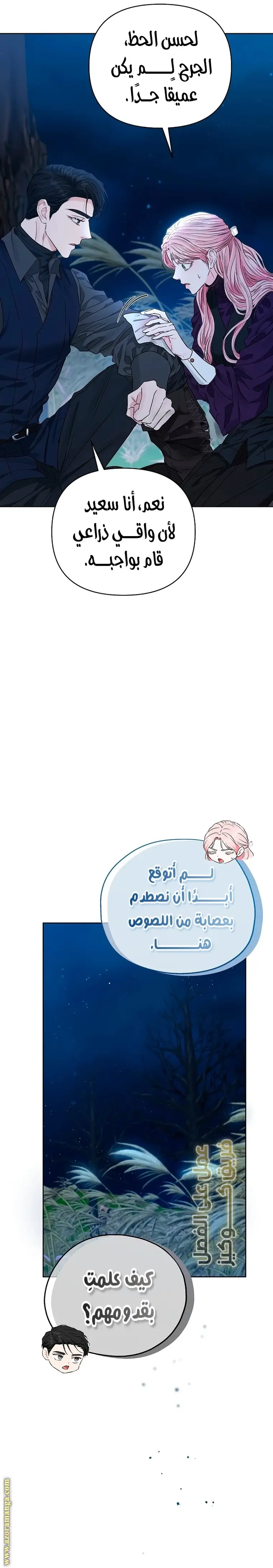 الصفحة 14