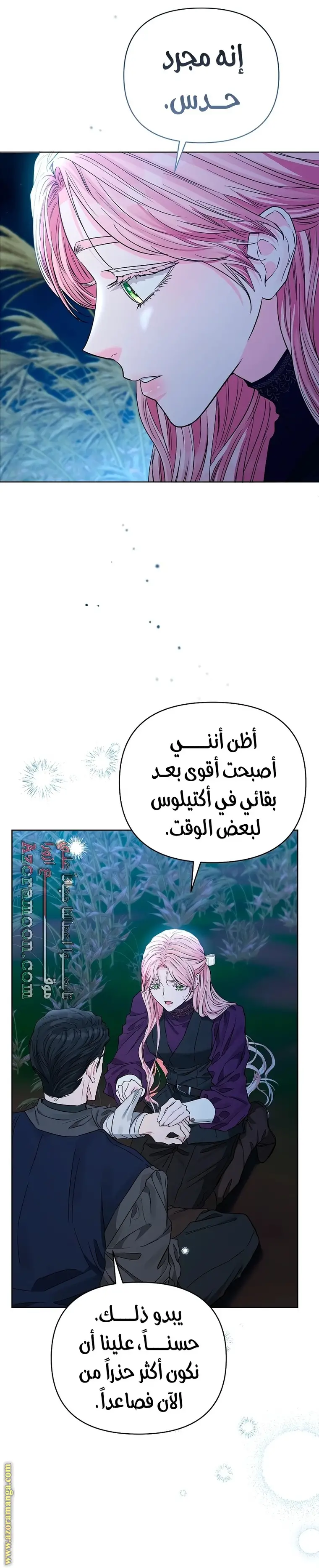 الصفحة 15