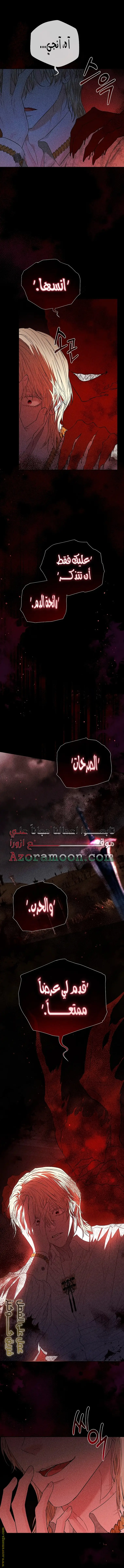 الصفحة 25