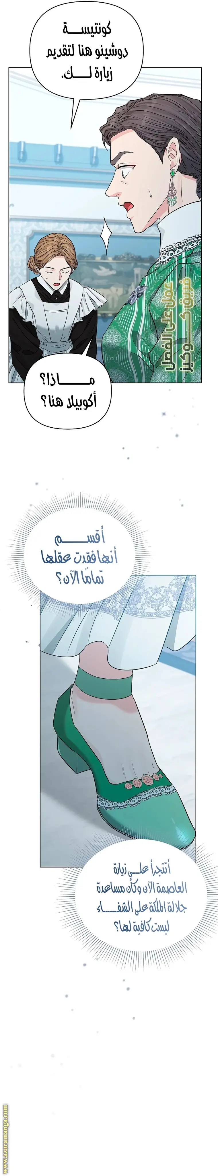 الصفحة 31