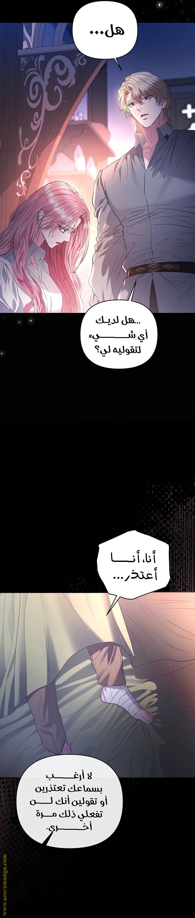 الصفحة 29