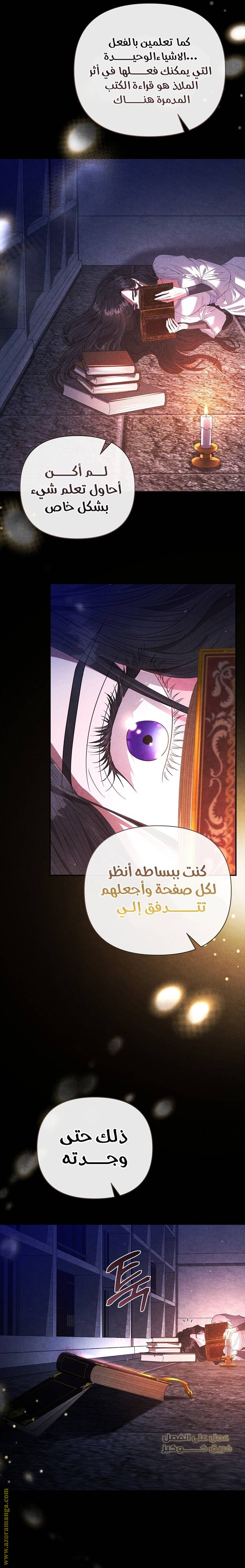 الصفحة 25