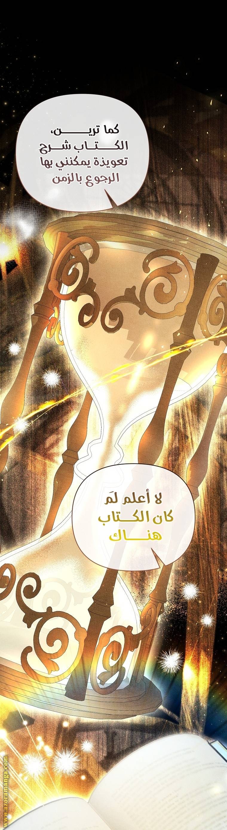 الصفحة 27