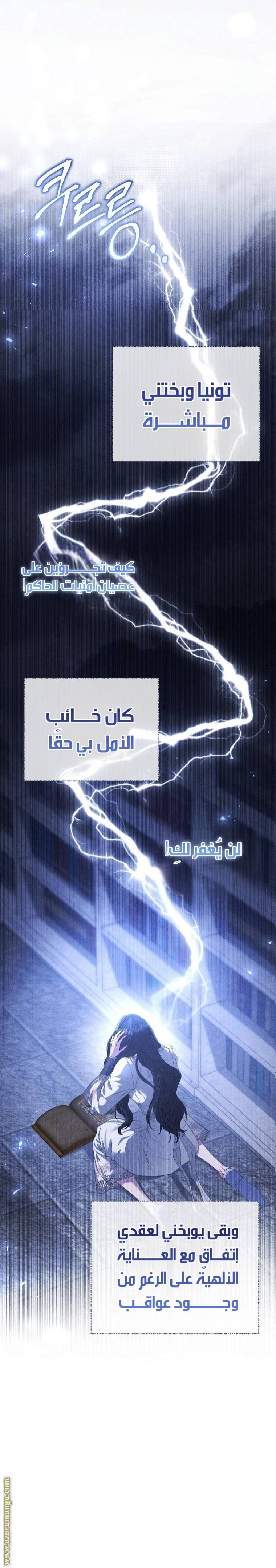الصفحة 33
