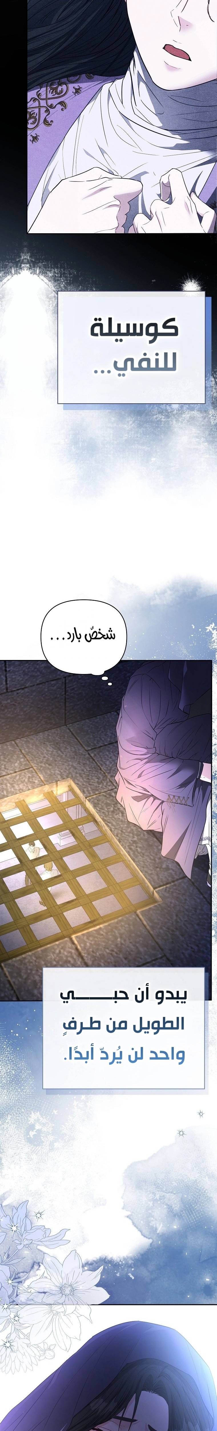 الصفحة 13