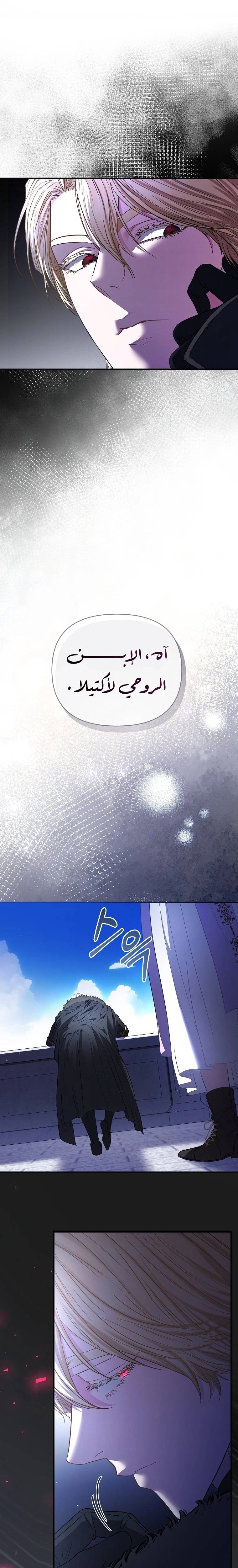 الصفحة 17