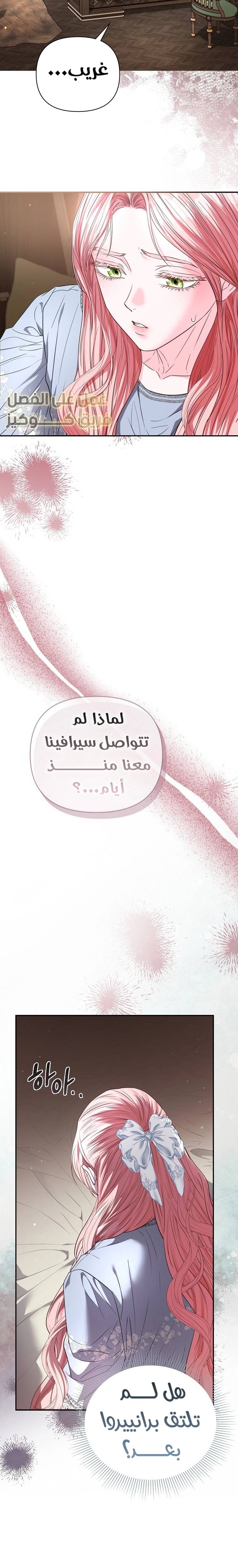 الصفحة 20
