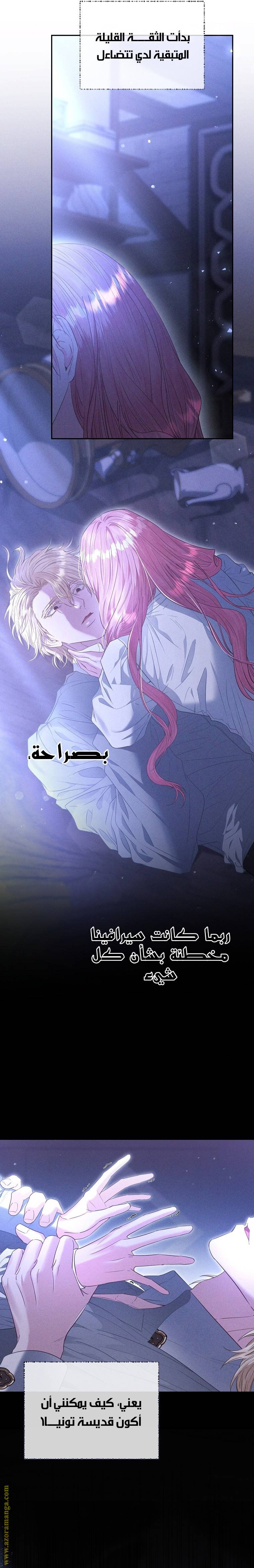 الصفحة 12
