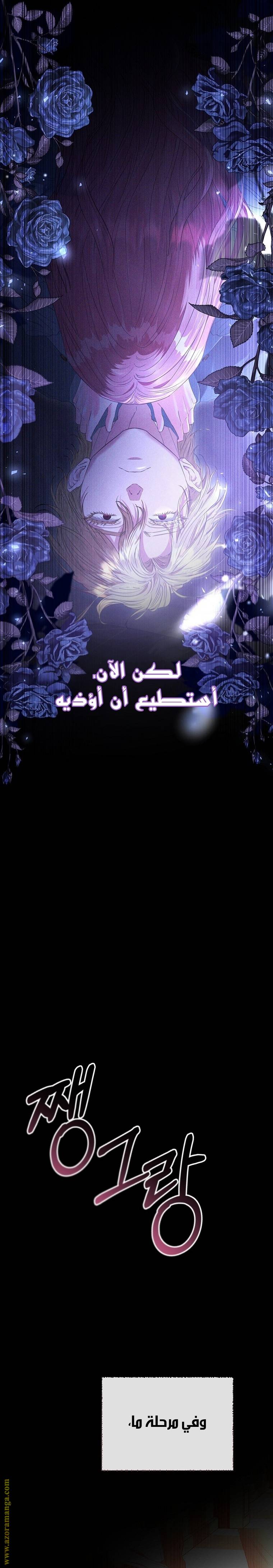 الصفحة 18
