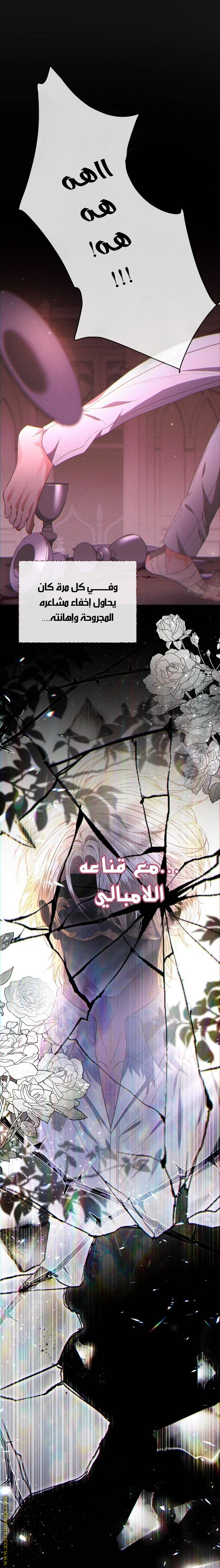الصفحة 24
