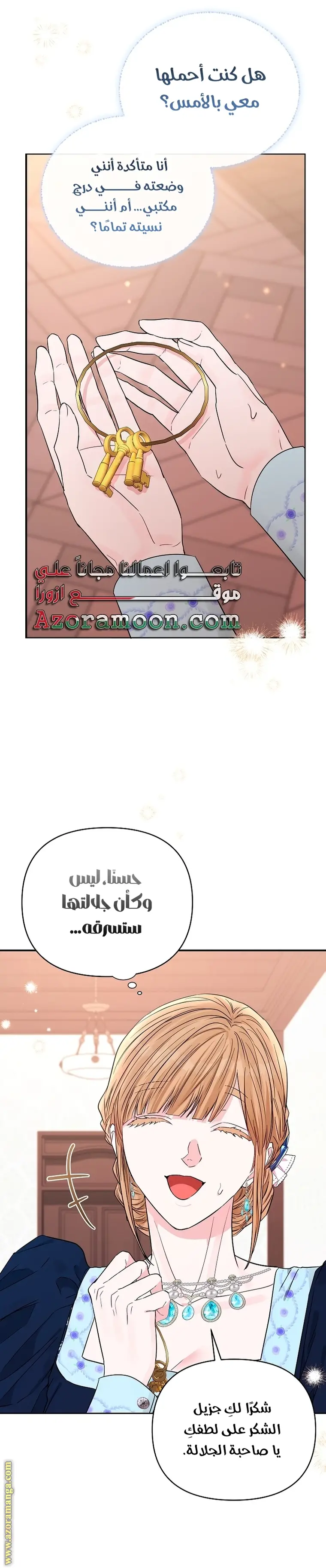 الصفحة 17