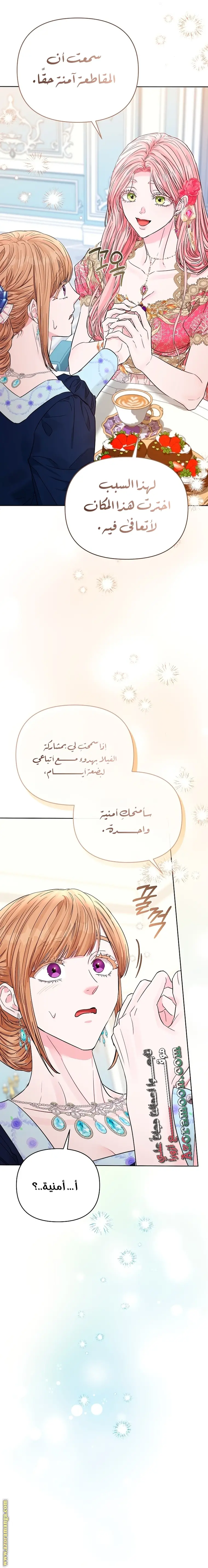 الصفحة 29