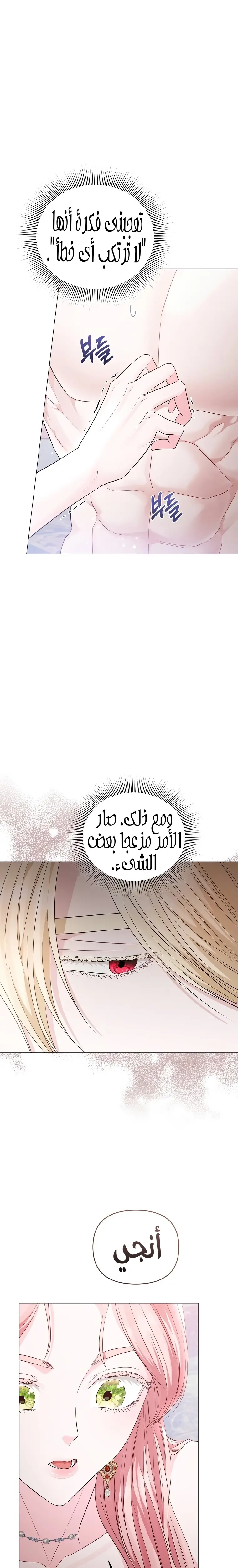 الصفحة 21