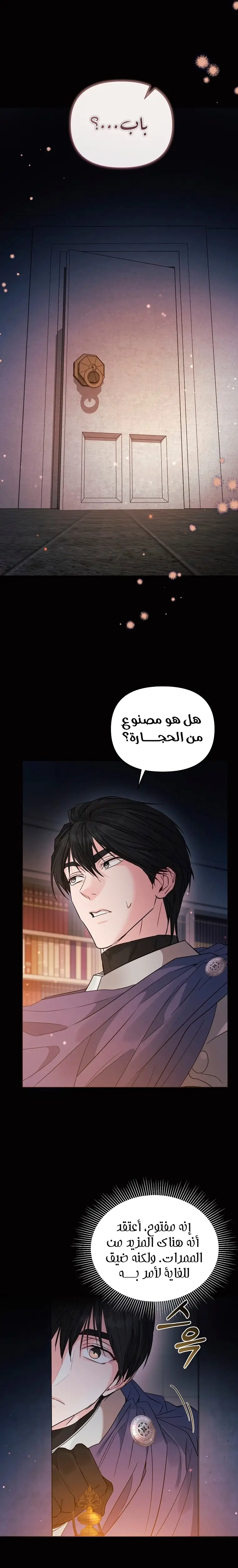 الصفحة 17