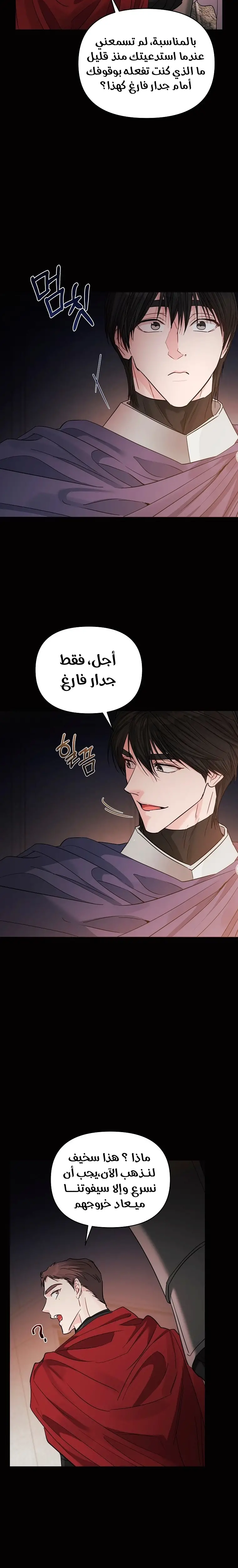 الصفحة 21