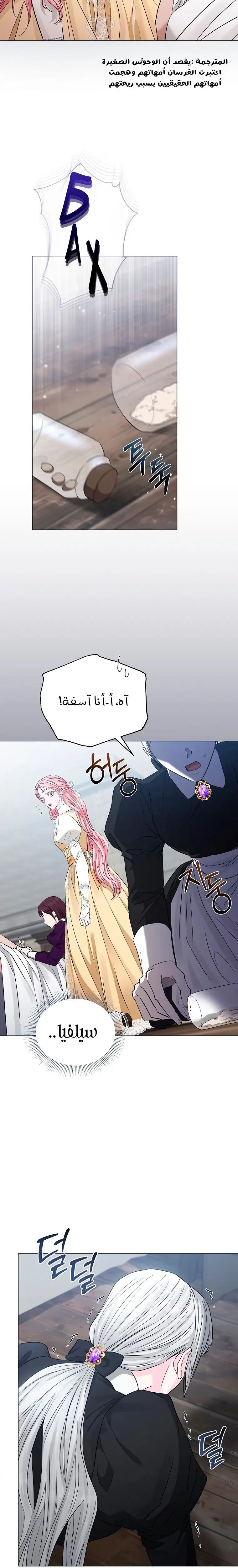 الصفحة 26
