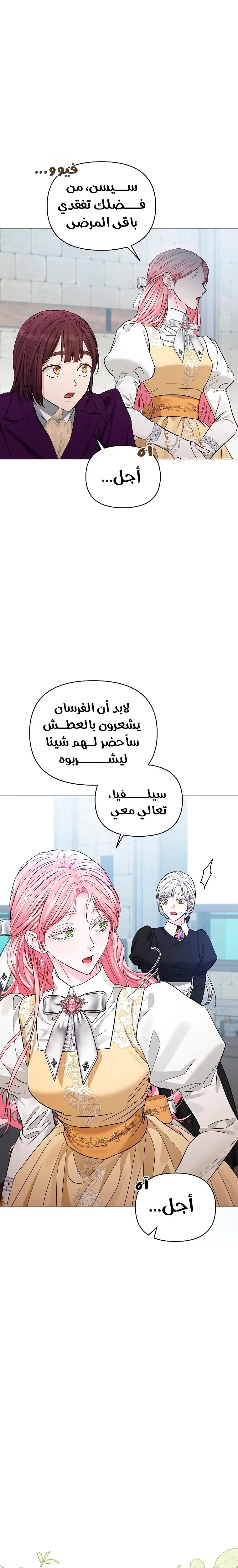 الصفحة 27