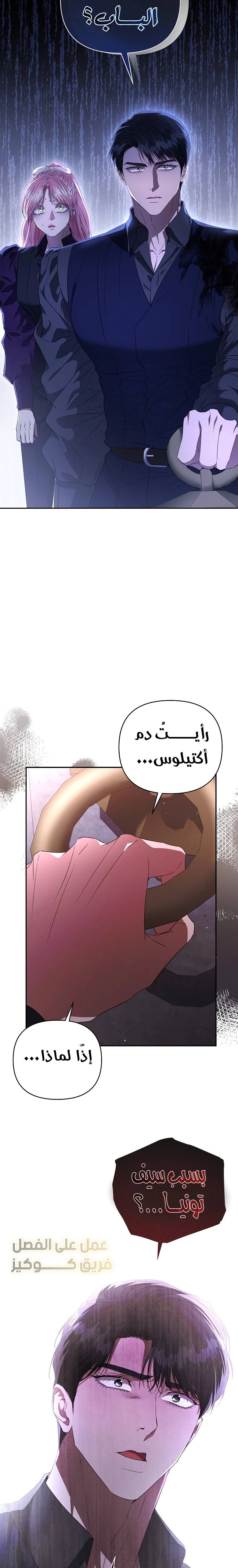 الصفحة 17
