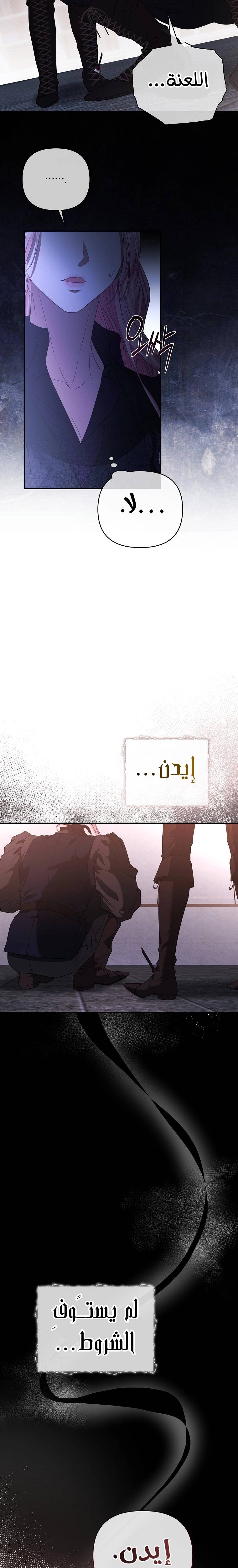 الصفحة 20