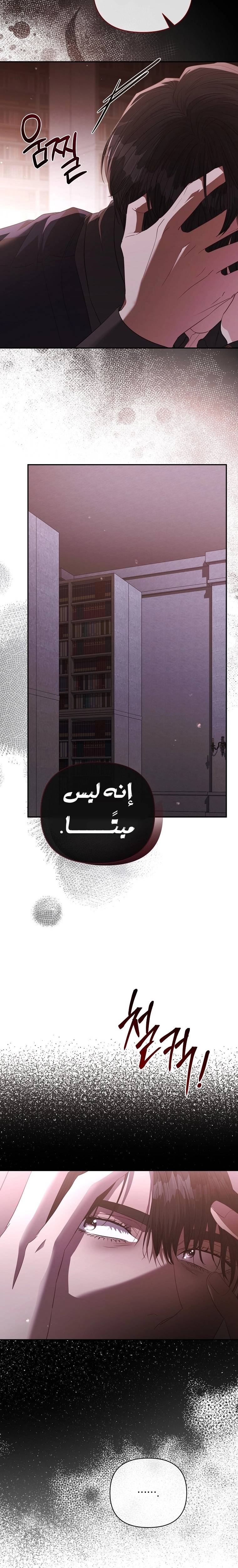 الصفحة 21