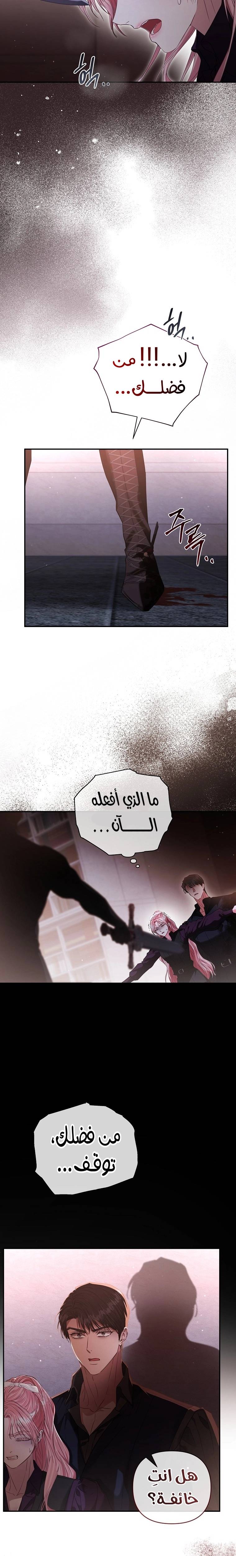 الصفحة 30