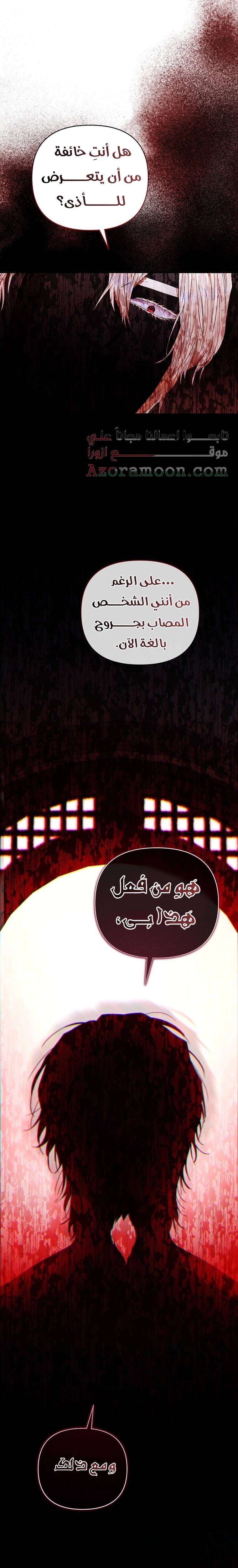 الصفحة 31