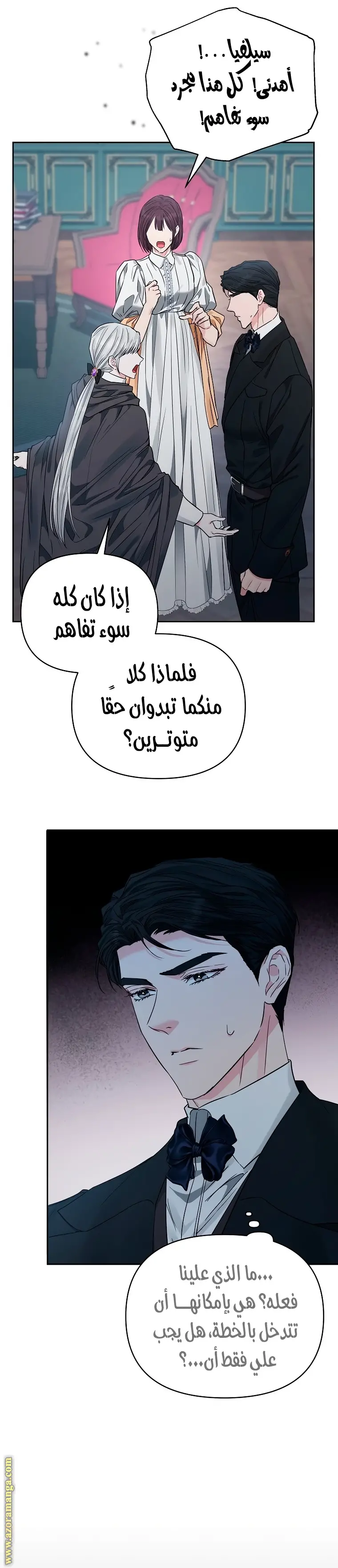 الصفحة 17