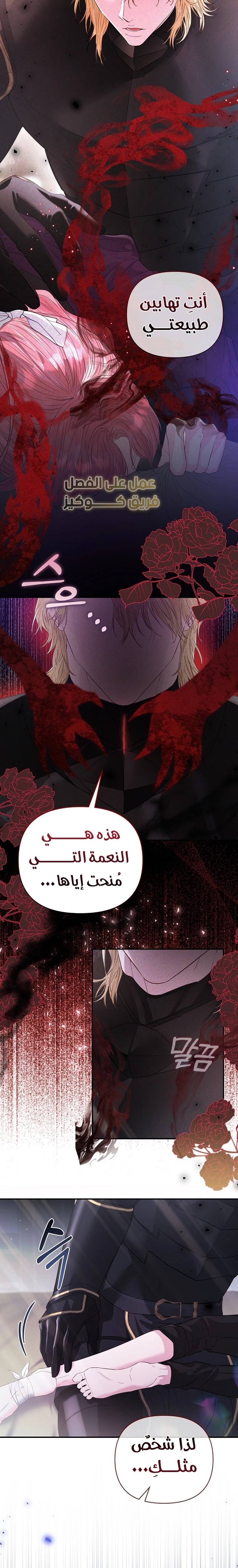 الصفحة 26