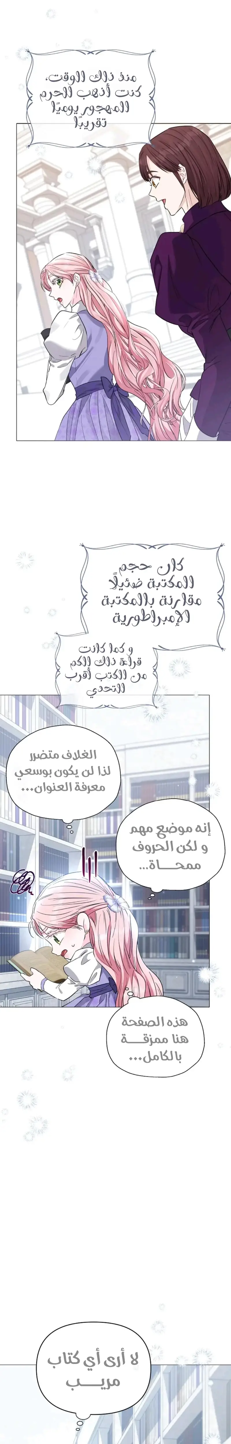 الصفحة 13