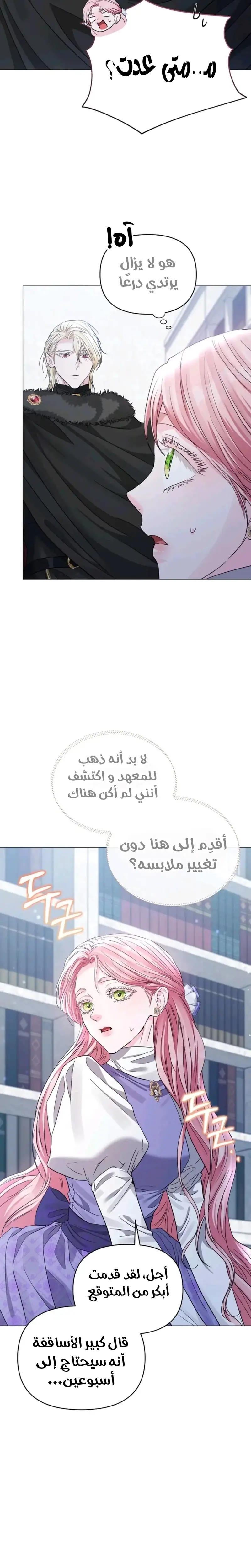 الصفحة 26