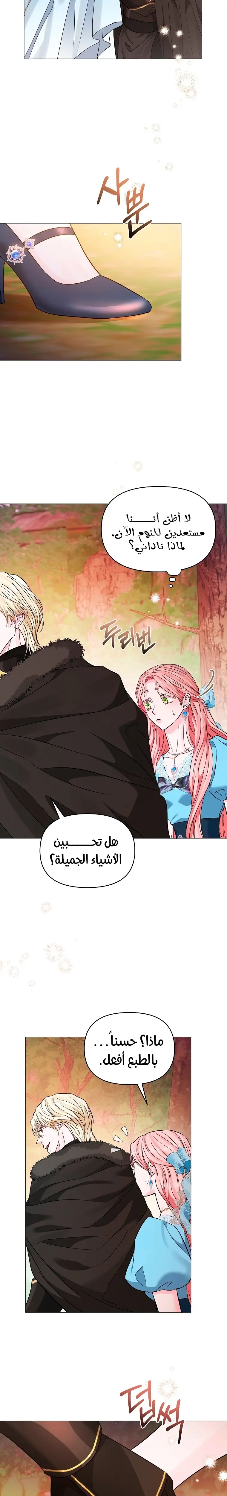 الصفحة 19