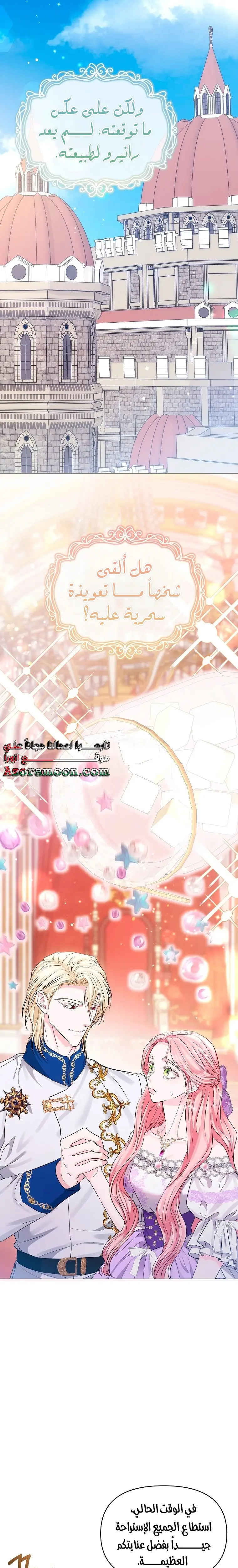 الصفحة 17