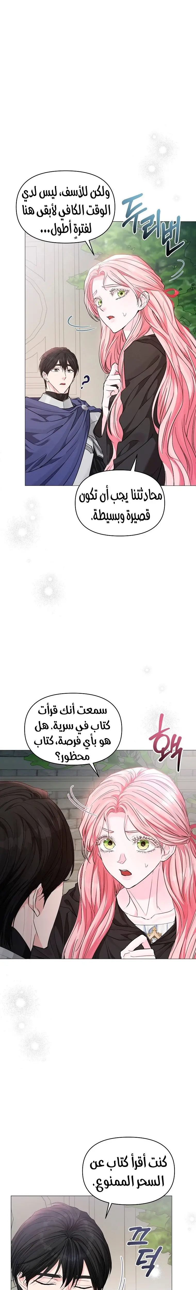 الصفحة 13