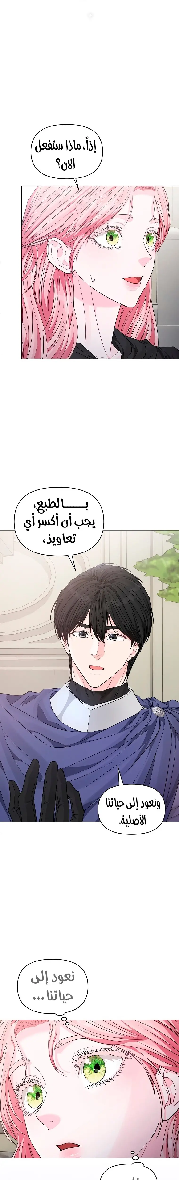 الصفحة 17
