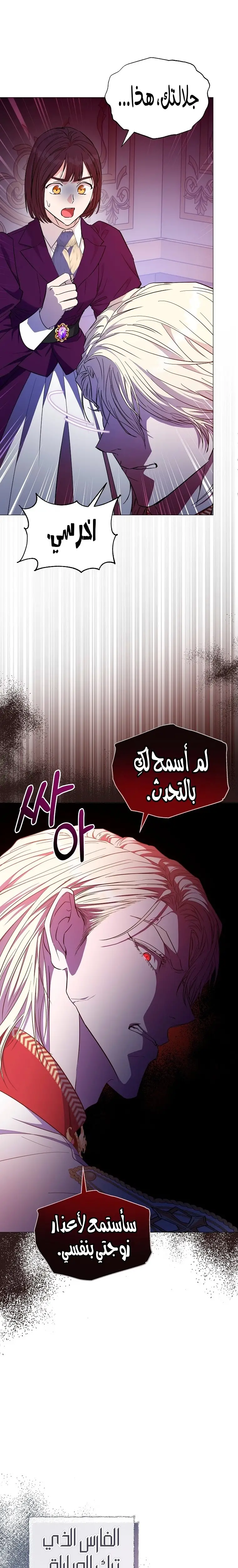 الصفحة 25