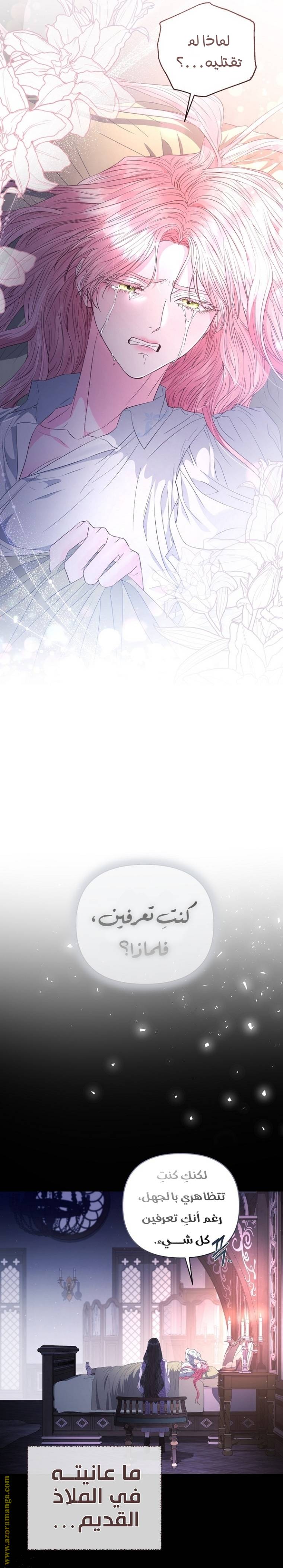 الصفحة 23
