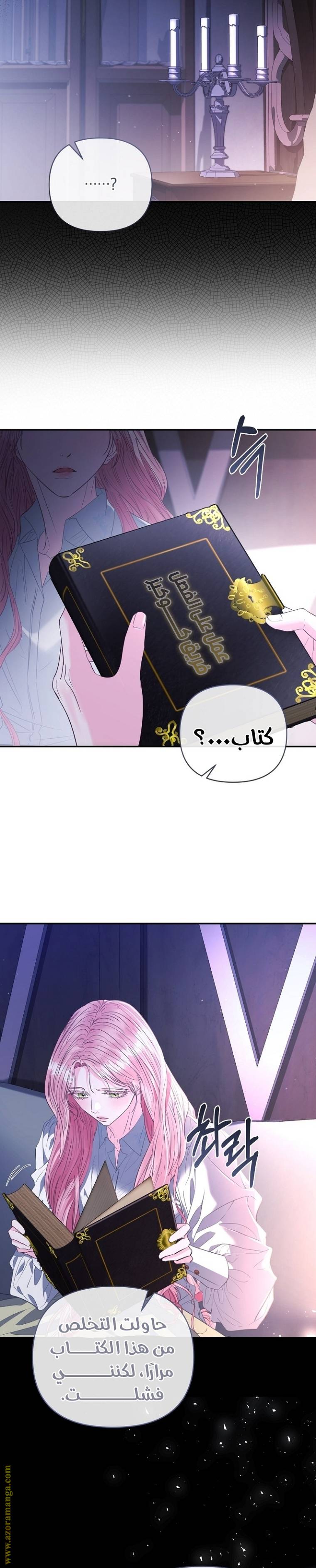 الصفحة 27