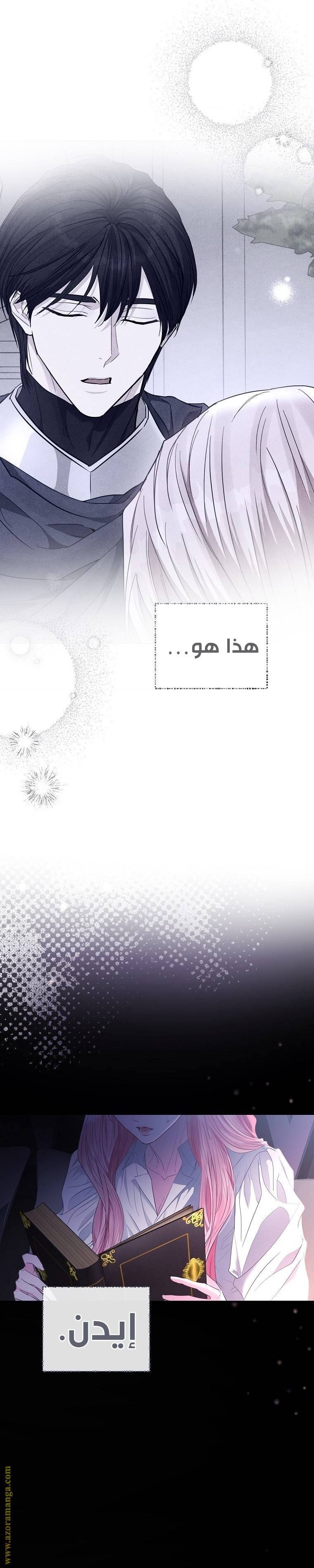 الصفحة 29