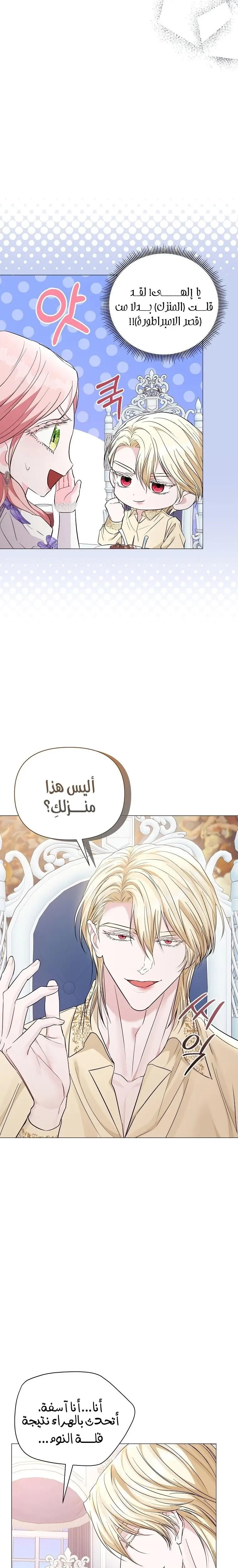 الصفحة 13