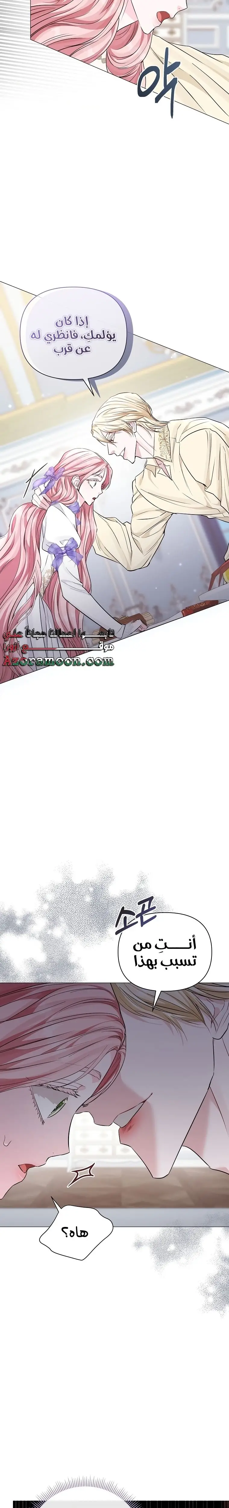 الصفحة 17
