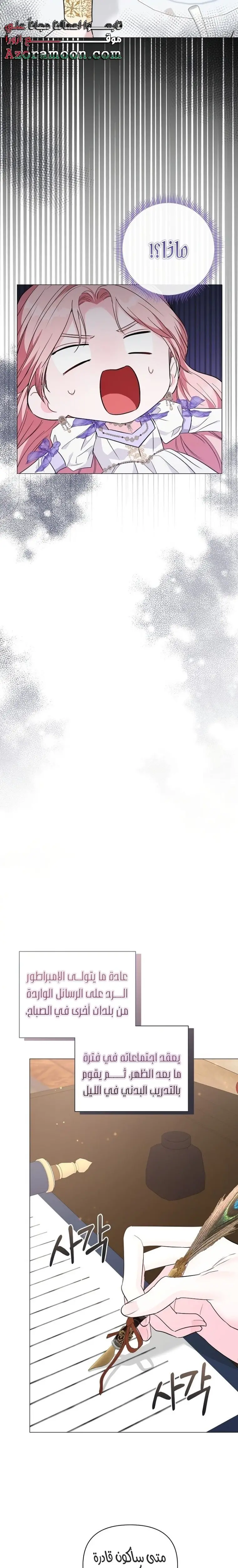 الصفحة 22