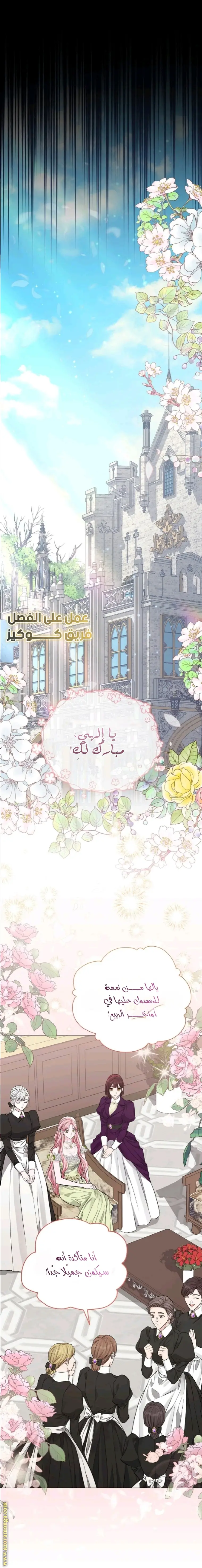 الصفحة 17