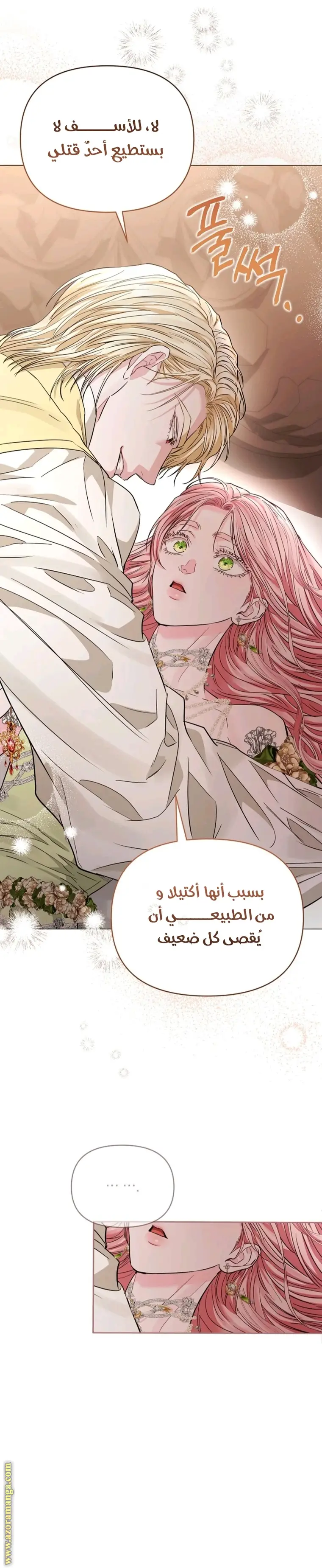 الصفحة 29