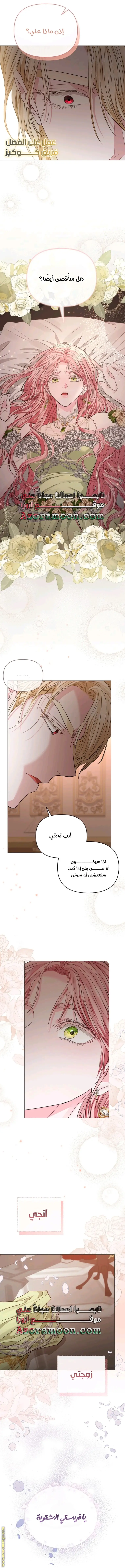 الصفحة 30