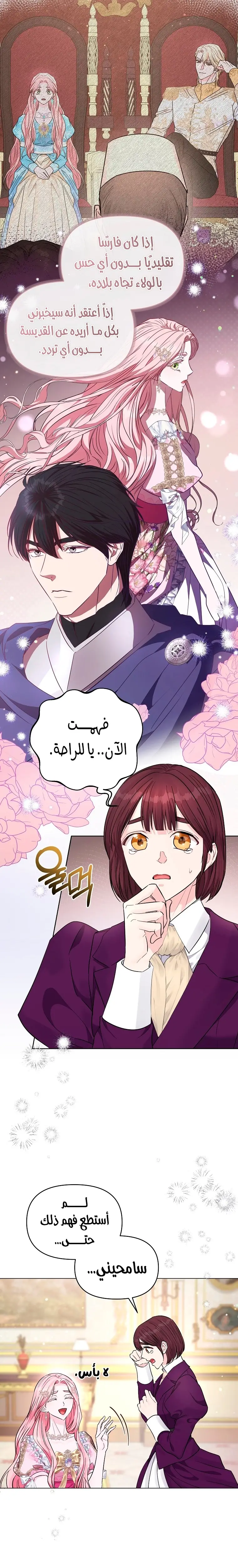 الصفحة 20